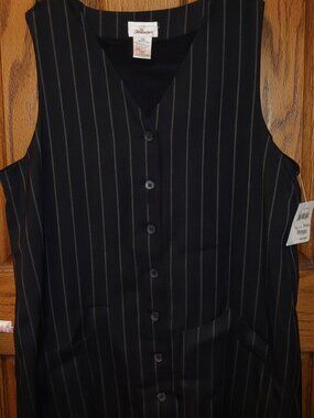 New with tags Pin stripped dress